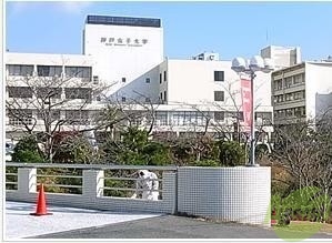 【神戸市長田区滝谷町のマンションの大学・短大】