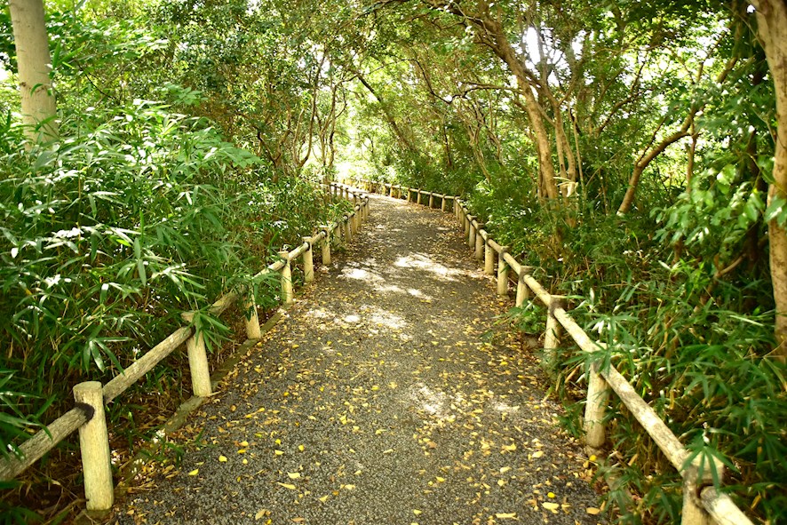 【尼崎市東園田町のマンションの公園】