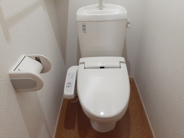 トイレ　トイレも気になるポイント