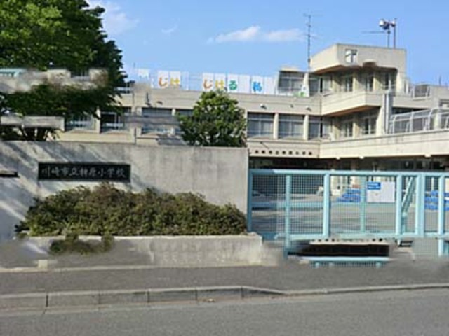 小学校　川崎市立稗原小学校（小学校）まで525m