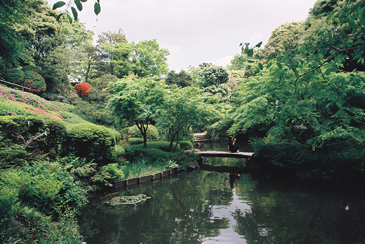 公園　池田山公園（公園）まで1023m