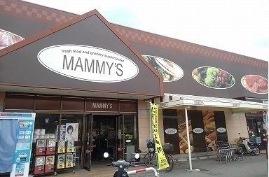 スーパー　マミーズ広川店（スーパー）まで2038m
