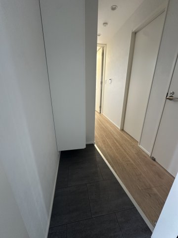 玄関　別棟参照