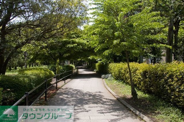 公園　砧公園（公園）まで201m