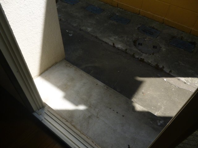 庭　お庭です