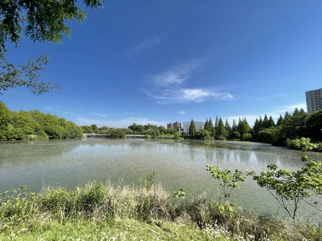 【サンファミリア長久手IIの公園】