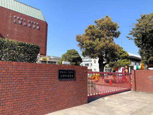 幼稚園・保育園　上野台幼稚園（幼稚園・保育園）まで1015m