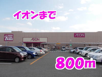 その他　イオン（その他）まで800m
