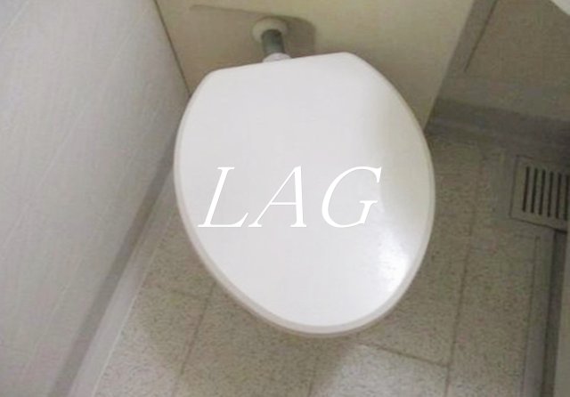 トイレ　トイレです。