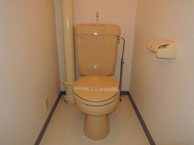 ニューコーポ進藤のトイレ写真
