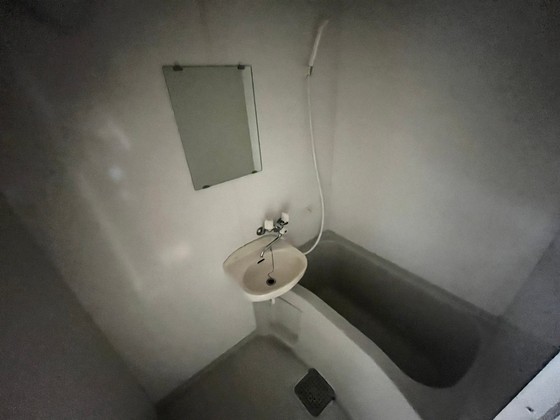 バス・シャワールーム　※別部屋の写真です