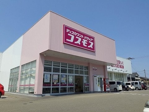 【徳島市国府町府中のマンションのドラックストア】