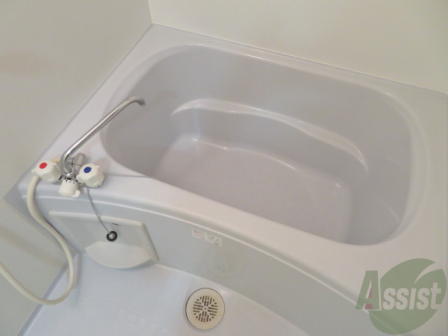 バス・シャワールーム　浴室はゆったりと浸かれるサイズ感になっていますね。