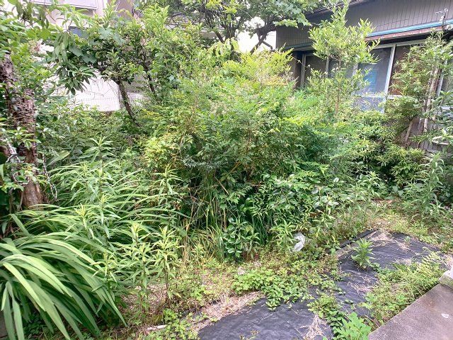 庭　2025年5月撮影