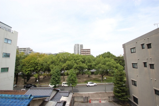 眺望　※別部屋の写真です