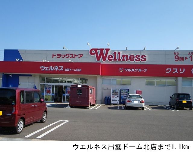ドラックストア　ウエルネス出雲ドーム北店（ドラッグストア）まで1100m