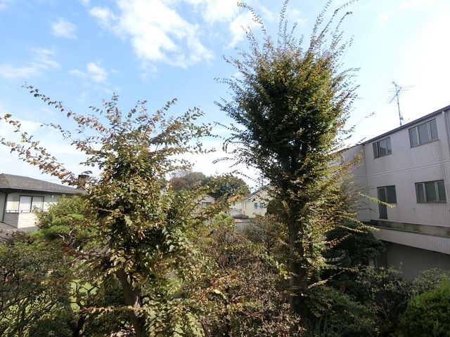 眺望　★景色★