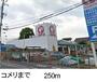 ホームセンター　コメリ（ホームセンター）まで250m