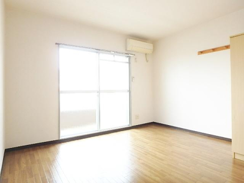 居室・リビング　※写真は他号室です