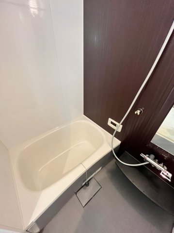 バス・シャワールーム　同物件、別号室の写真です。