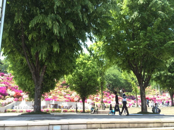 公園　西山公園（公園）まで1400m