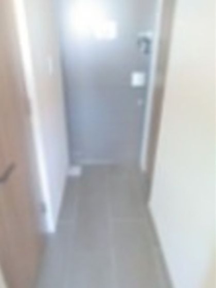 玄関　※同仕様写真