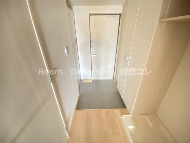 玄関　※同物件他部屋写真 反転の場合有