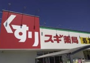 ドラックストア　スギ薬局高林店（ドラッグストア）まで376m