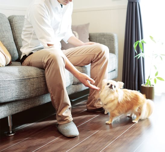 その他部屋・スペース　※イメージ