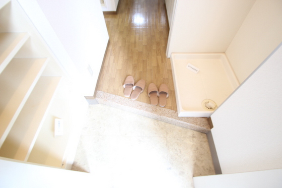 玄関　※他部屋の写真です。