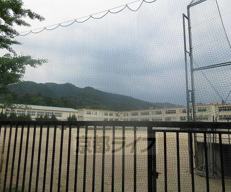 小学校　長等小学校（小学校）まで337m