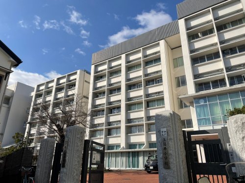 中学校　神戸市立筒井台中学校（中学校）まで556m