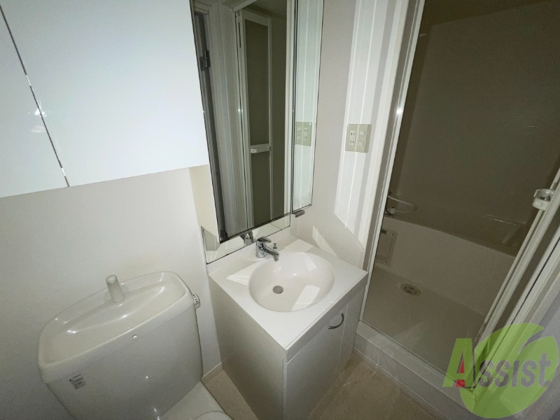 洗面設備　独立洗面台は収納が付いており賀紙が大きいです