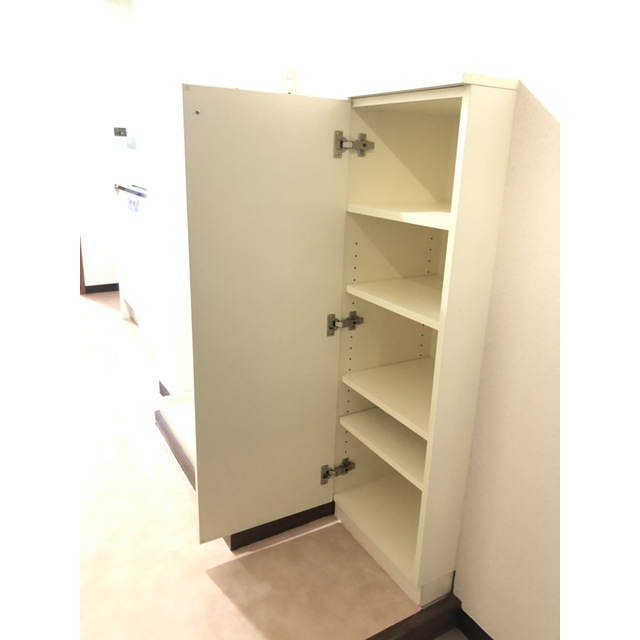 玄関　収納ボックス