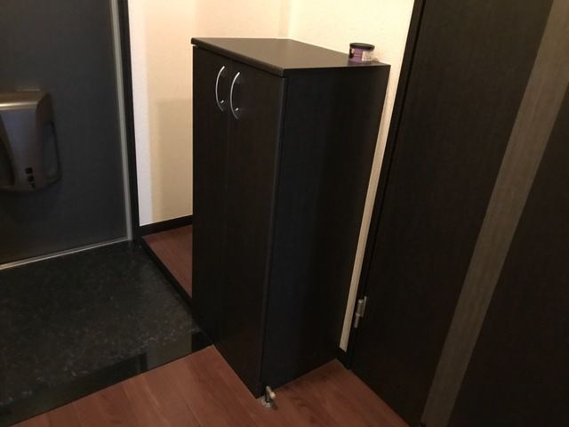 玄関　※別のお部屋の写真です