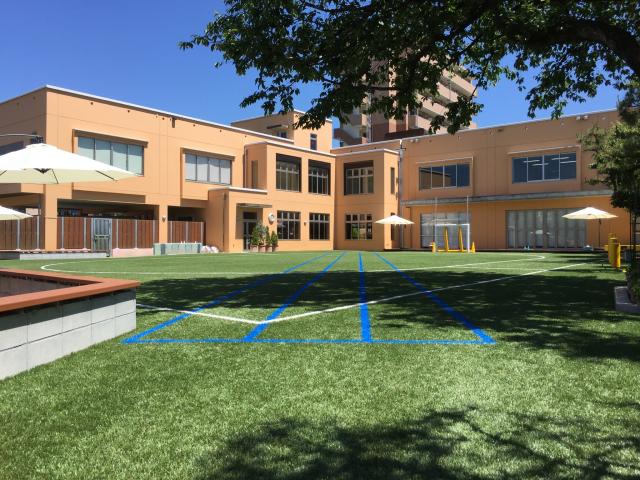 幼稚園・保育園　認定こども園青葉幼稚園（幼稚園・保育園）まで243m