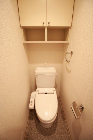 トイレ　（別タイプ参考写真）パレステュディオDOLCE本駒込　文京区