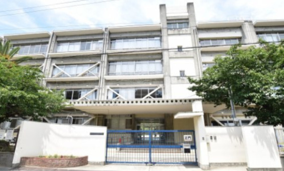 小学校　高石市立加茂小学校（小学校）まで163m