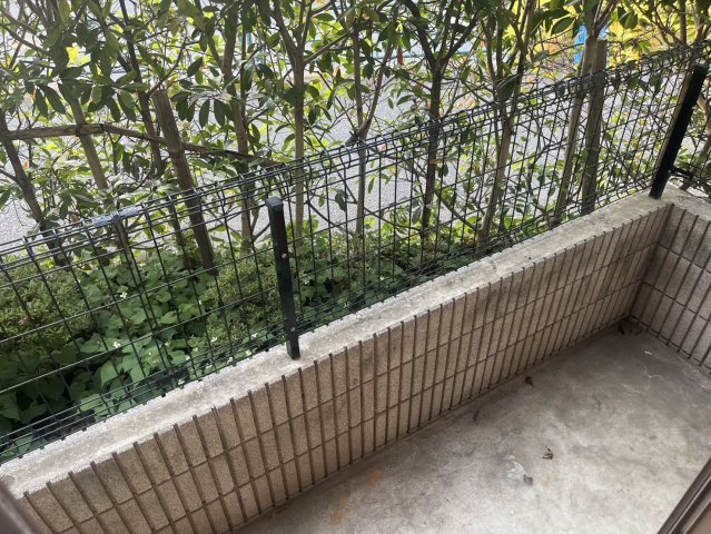 庭