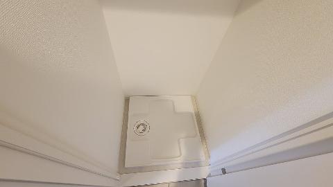 その他　その他