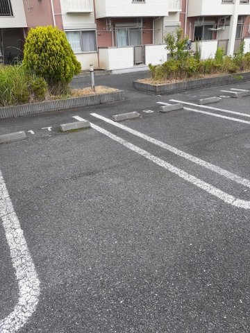 駐車場　駐車場です