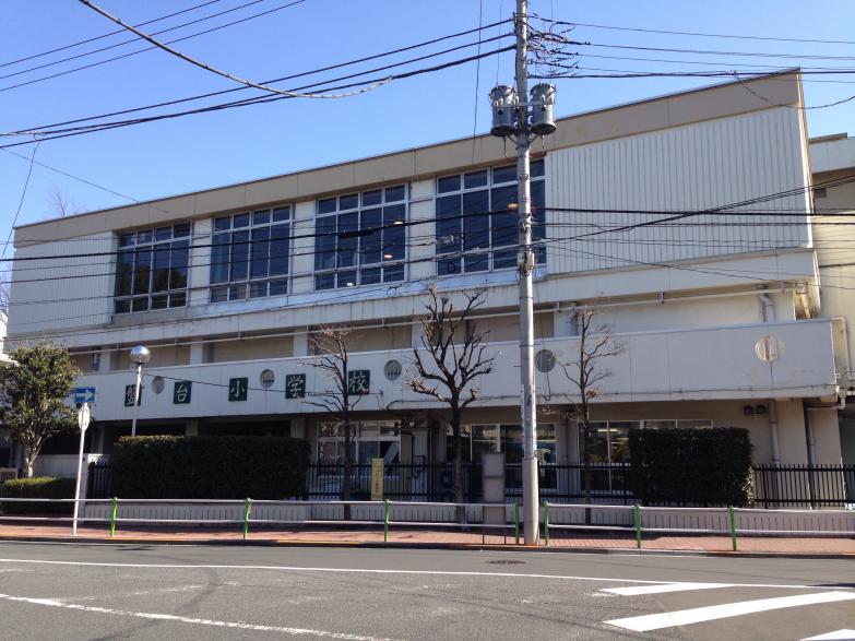 小学校　板橋区立常盤台小学校（小学校）まで292m