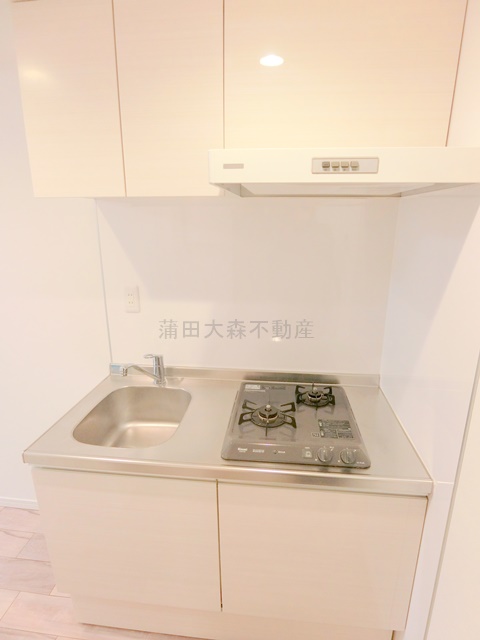 キッチン　2口ガスシステムキッチン