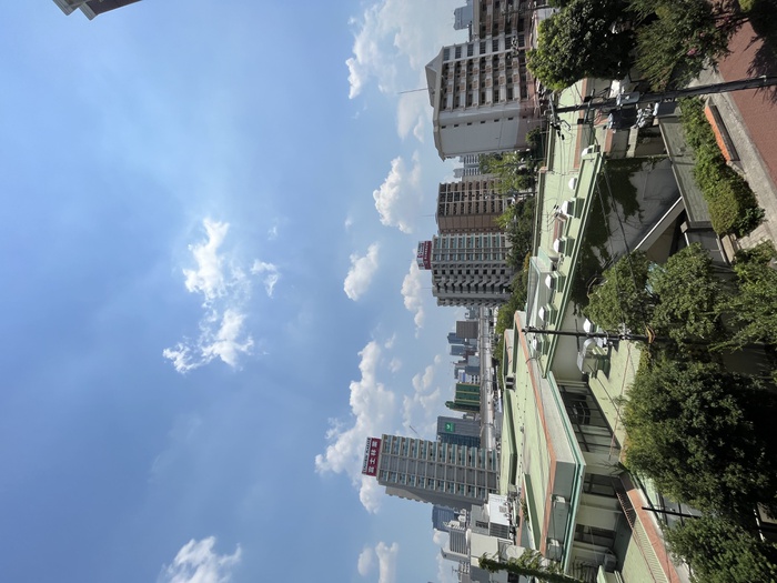 眺望
