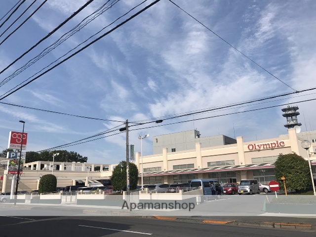 スーパー　（株）オリンピック／小金井店（スーパー）まで513m