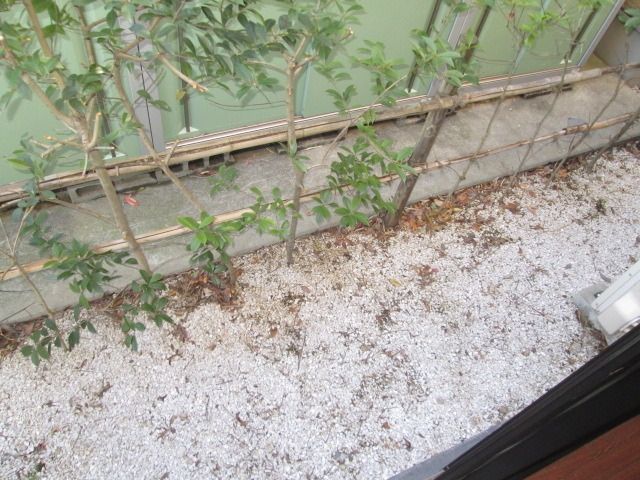 バルコニー　別部屋参考写真