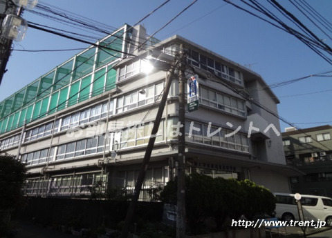 高校・高専　東海大学付属望星高等学校（高校・高専）まで460m