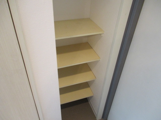 収納　たっぷり入るシューズボックスです