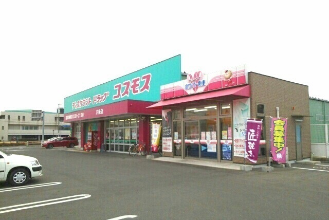 その他　コスモス六条店さん（その他）まで1100m