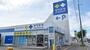 ドラックストア　サツドラ白石本通店（ドラッグストア）まで1077m